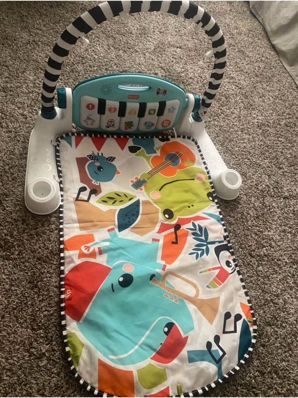 Fisher-Price Teal, White, Black and Multicolor Musical Baby Play Gym